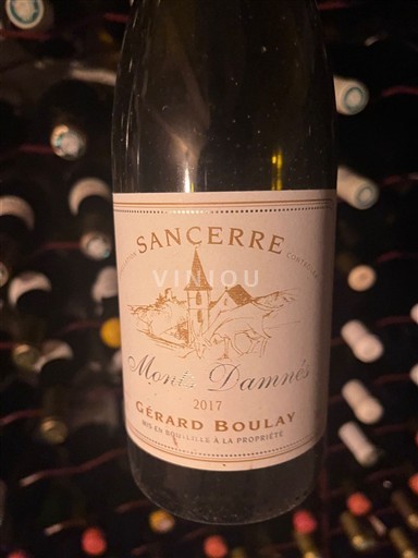 Valle del Loira Sancerre Gérard Boulay Monts Damnés 2017