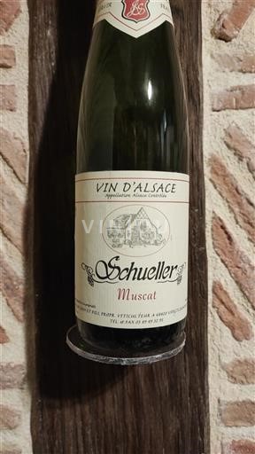 Alsacia Schueller Muscat 2020