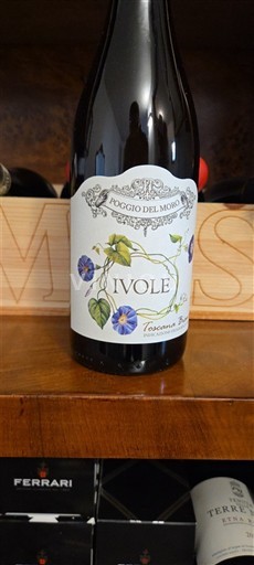 Toskana Nicht spezifiziert Poggio del Moro Ivole Ohne Jahrgang