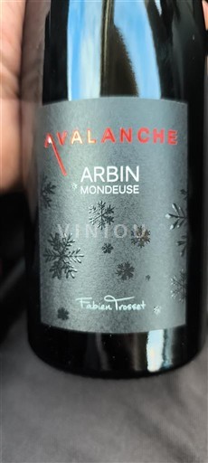 Jura Arbois Fabien Trosset Avalanche 2023