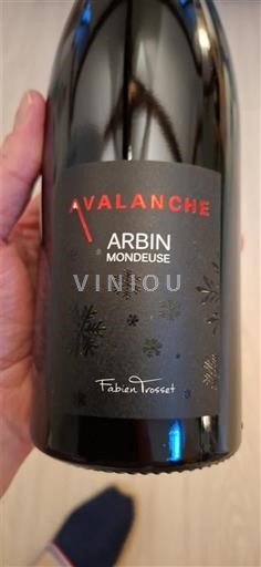 Jura Arbois Fabien Trosset Avalanche 2023