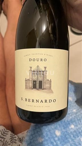 Дору S. Bernardo 2020