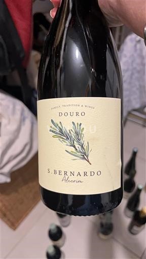 Дору S. Bernardo Alecrim 2022