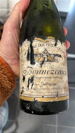 Loire Valley Bonnezeaux Domaine S Petits Quarts 2021