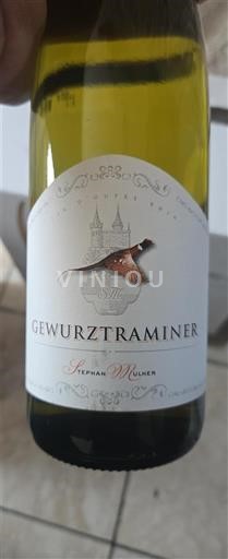 Elsass Stephan Müller 2024