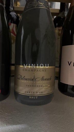 Samppanja Delouvin-Nowack Carte d'Or Ei vuosikertaa