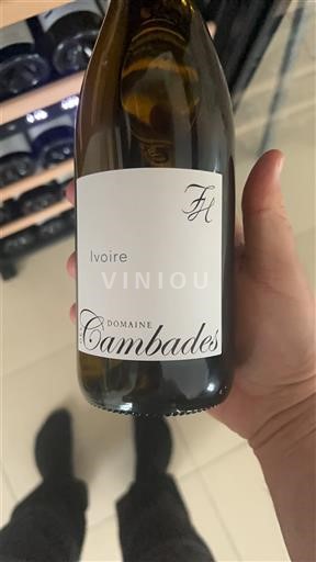 Jugozahod Côtes de Gascogne Domaine Cambades Ivoire 2023