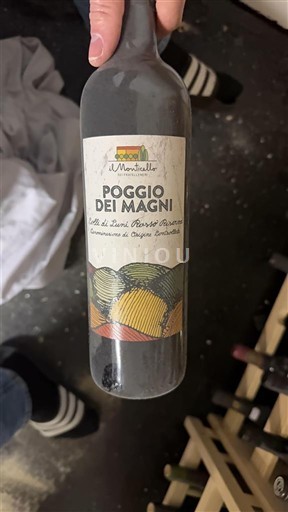 Liguria Colli di Luni Il Monticello Poggio dei Magni 2021