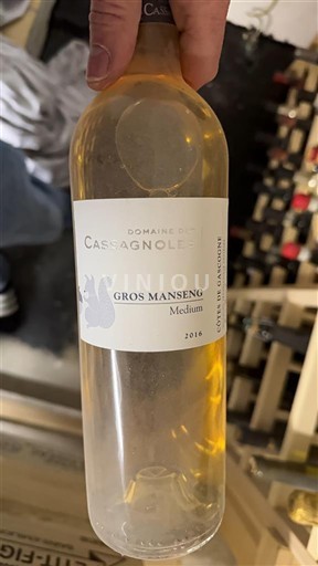 Jugozahod Côtes de Gascogne Domaine Cassagnoles Gros Manseng Medium 2016