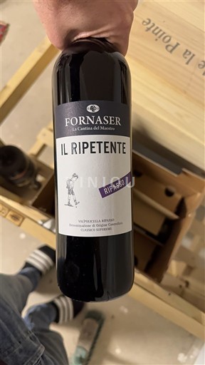 Vénétie Valpolicella Ripasso Fornaser Il Ripetente 2020