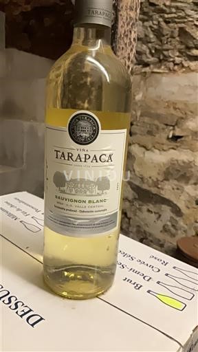 Wines Blanc sec Viña Tarapacá 2024 Chile Maipo Valley Maipo Central