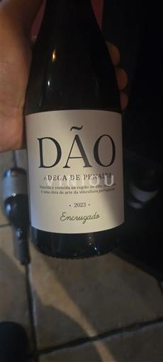 Portugal Dão Adega de Penalva Encruzado 2023