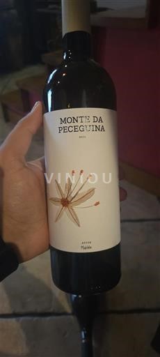 Alentejo Monte da Peceguina 2024