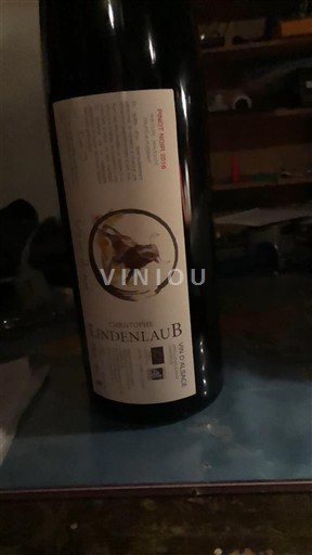 Alsace Pinot noir Domaine Lindenlaub 2016