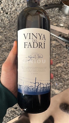 Valencijska skupnost Castellón Vinya del Fadrí Neleten.