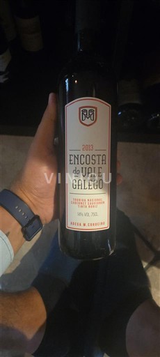 Portugal Dão. Encosta do Vale Galego 2013