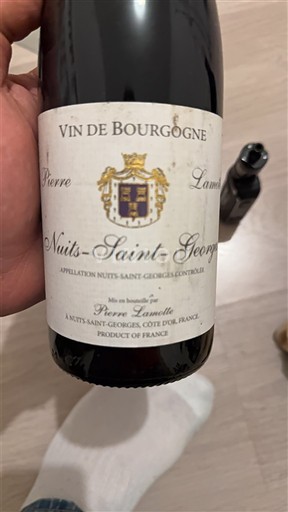 Burgundija Nuits-Saint-Georges Pierre Lamelle 2014