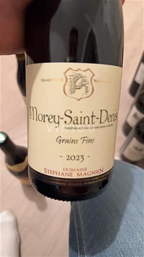 Burgundy Morey-Saint-Denis Domaine Stéphane Magnien Grains Fins 2023