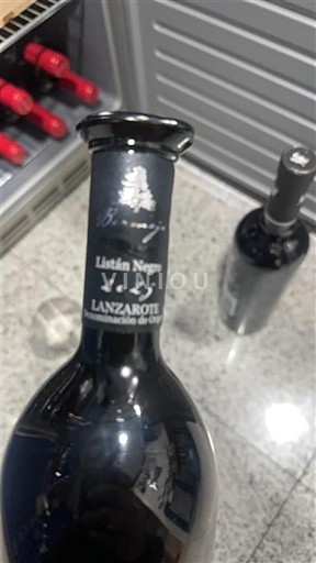 Canarische Eilanden Lanzarote Bodega Bermejo Listán Negro 2023
