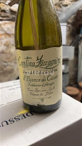 Abruzzo Wines Trebbiano d'Abruzzo Cantina Zaccagnini Il Bianco di Ciccio 2023