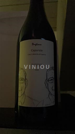 Víno Rouge sec Cacc’e Mmitte di Lucera Paglione 2024 Itálie Molise IGT