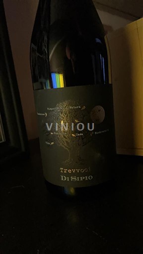 Abruzzo Montepulciano d'Abruzzo Di Sipio Trevvo 2024