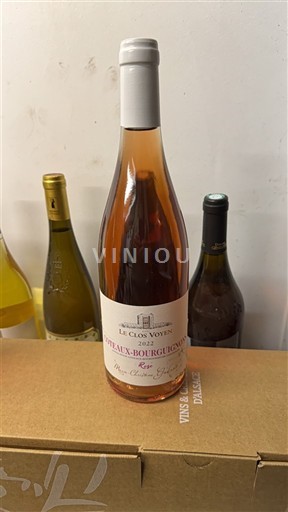 Bourgogne Bourgognebackar Le Clos Voyen 2022