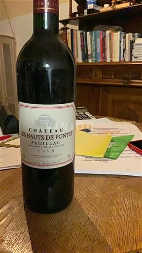 Bordeaux Pauillac Château Les Hauts de Pontet 1997