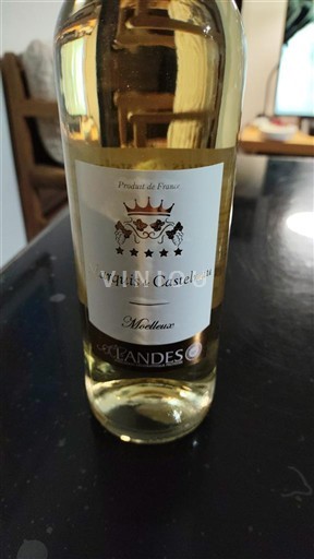 Sydväst Côtes de Gascogne Marquis de Castelnau 2025