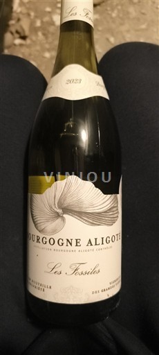Burgundi Bourgogne Aligoté Les Fossiles Les Fossiles 2023