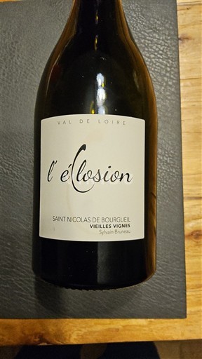 Vallée de la Loire Saint-Nicolas-De-Bourgueil Sylvain Bruneau L'Éclosion Vieilles Vignes 2022