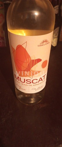 Languedoc Muscat de Saint-Jean-de-Minervois Terra Vinea Ei vuosikertaa