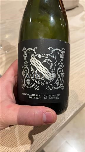 Zurich Stadt Zürich Schwarzenbach Weinbau Nothing Left To Lose 2023