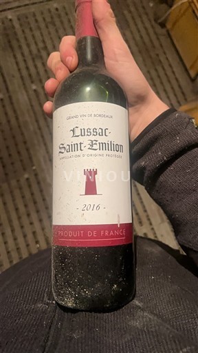 Bordéus Lussac-Saint-Émilion Cabernet Sauvignon Merlot 2016