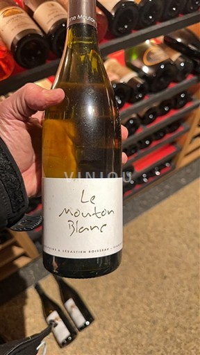 Burgundi Mâcon ja Mâcon-kylät Boisseau Le Mouton Blanc 2018