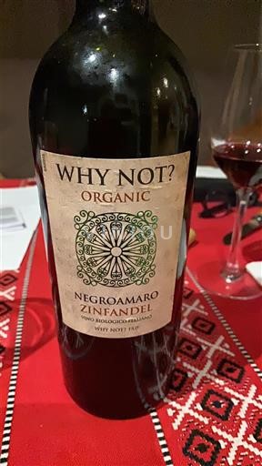 Pouilles Salento Why Not Organic Non Millésimé