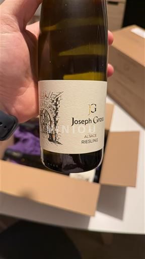 Alsacia Joseph Gross 2024