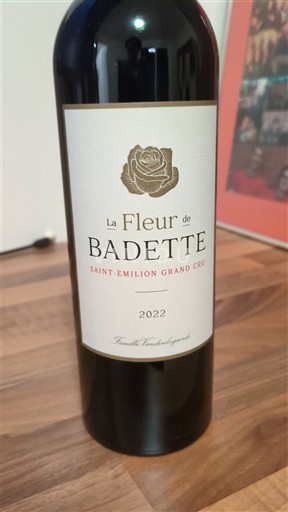 Bordeaux Saint-Émilion Grand Cru Grand Cru La Fleur de Badette 2022