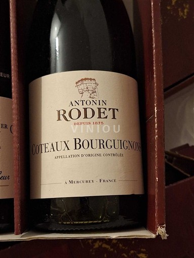 Bourgondië Bourgondische heuvels Antonin Rodet 2021