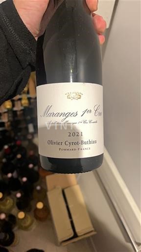 Bourgogne Premier Cru Olivier Cyrot-Buthiau 2021