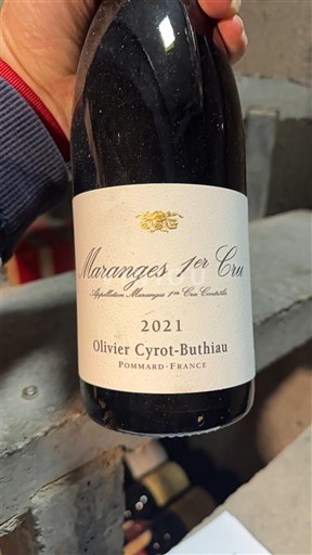 Bourgondië Niet gespecificeerd Premier Cru Olivier Cyrot-Buthiau 2021