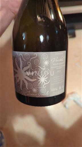 Córcega Isla de Belleza Domaine Vecchio Uva Antica 2024