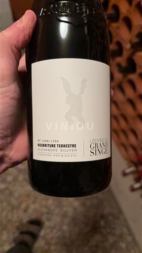 Rhônedalen Vacqueyras Les Vins du Grand Singe Nourriture Terrestre 2023