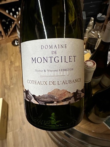 Vale do Loire Coteaux-de-l'aubance Domaine Montgilet 2021