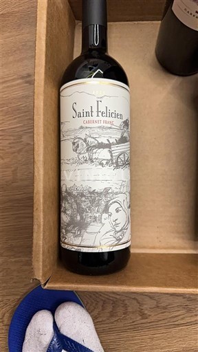 Wijnen Rouge sec Cabernet Franc Saint Felicien 2024 Argentinië Mendoza