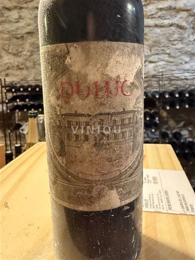 Bordeaux Saint-Julien Château Branaire-Ducru Duluc 2009