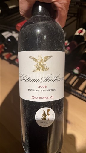 Bordeaux Moulis-en-Médoc Cru Bourgeois Château Anthonic 2008
