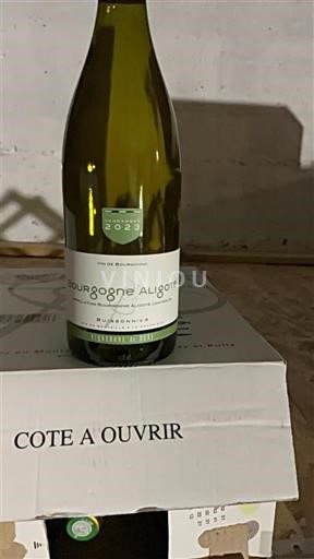 Bourgogne Bourgogne Aligoté Buissonnier 2023