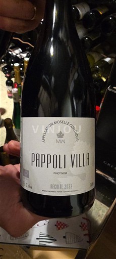 Lorena Mosela Pappoli Villa 2022