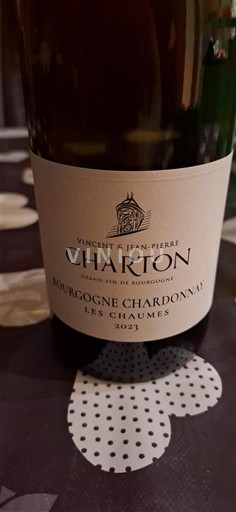 Bourgogne Bourgogne Chardonnay Vincent & Jean-Pierre Charton Les Chaumes 2023